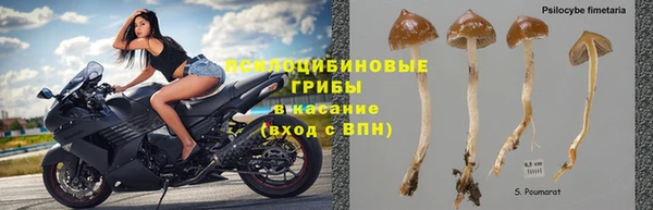 прущие крисы Гусев