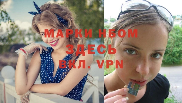 шишки Березники