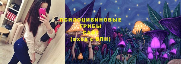 соль курить ск Гусь-Хрустальный